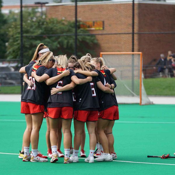 Voorbeeld - €135,-